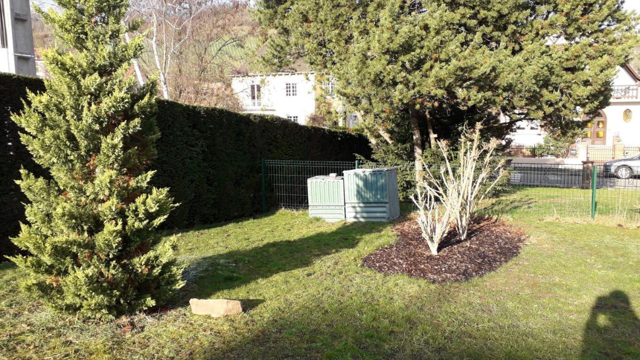 Villa/Appartement Au Coeur Des Vignes *** Barr Kültér fotó