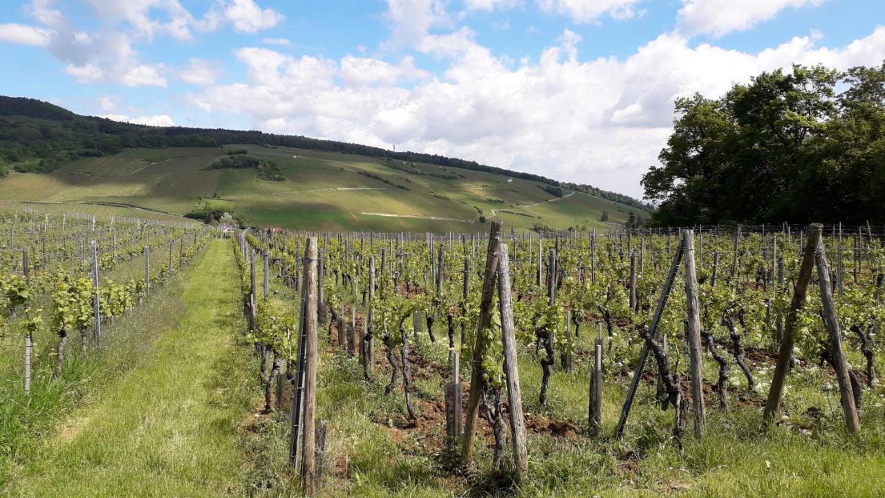 Villa/Appartement Au Coeur Des Vignes *** Barr Kültér fotó