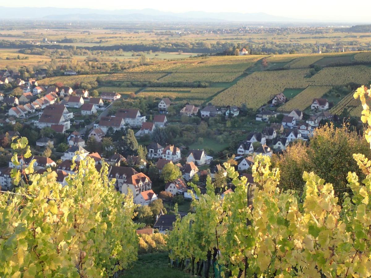 Villa/Appartement Au Coeur Des Vignes *** Barr Kültér fotó
