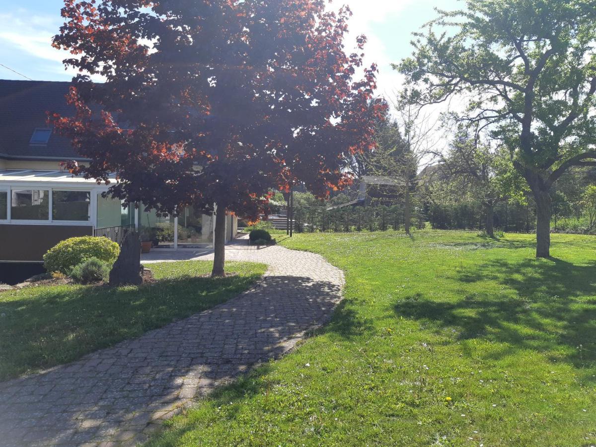 Villa/Appartement Au Coeur Des Vignes *** Barr Kültér fotó