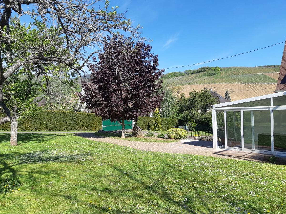Villa/Appartement Au Coeur Des Vignes *** Barr Kültér fotó